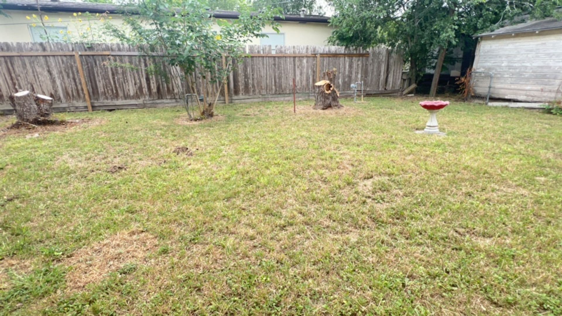 Corpus Christi House: 2716 Deer
