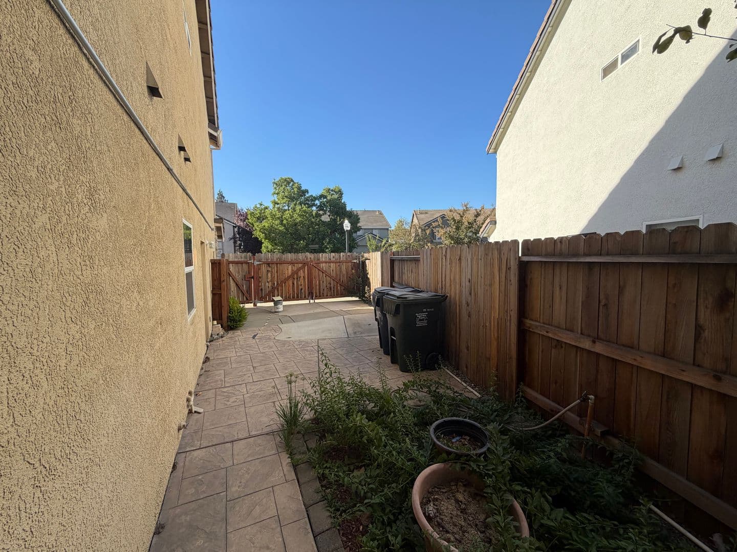 Sacramento House: 3019 Palmate Way
