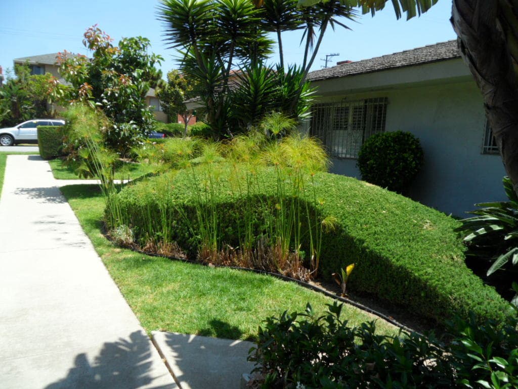 Los Angeles Apartment: 5008 W. 58th Place