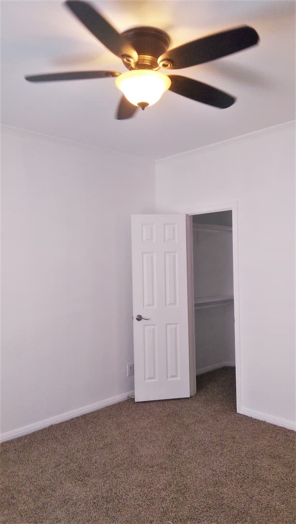 Austin Apartment: 402 E. 30th Street