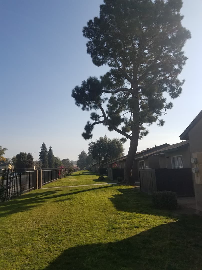 Bakersfield Apartment: 3901 Q Street