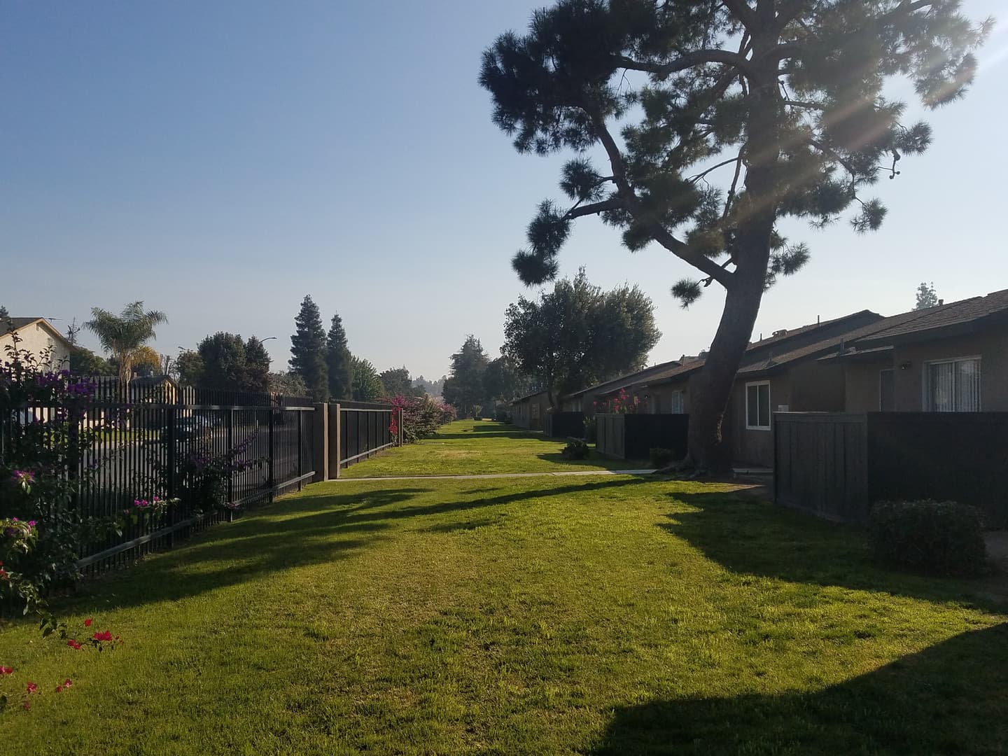 Bakersfield Apartment: 3901 Q Street