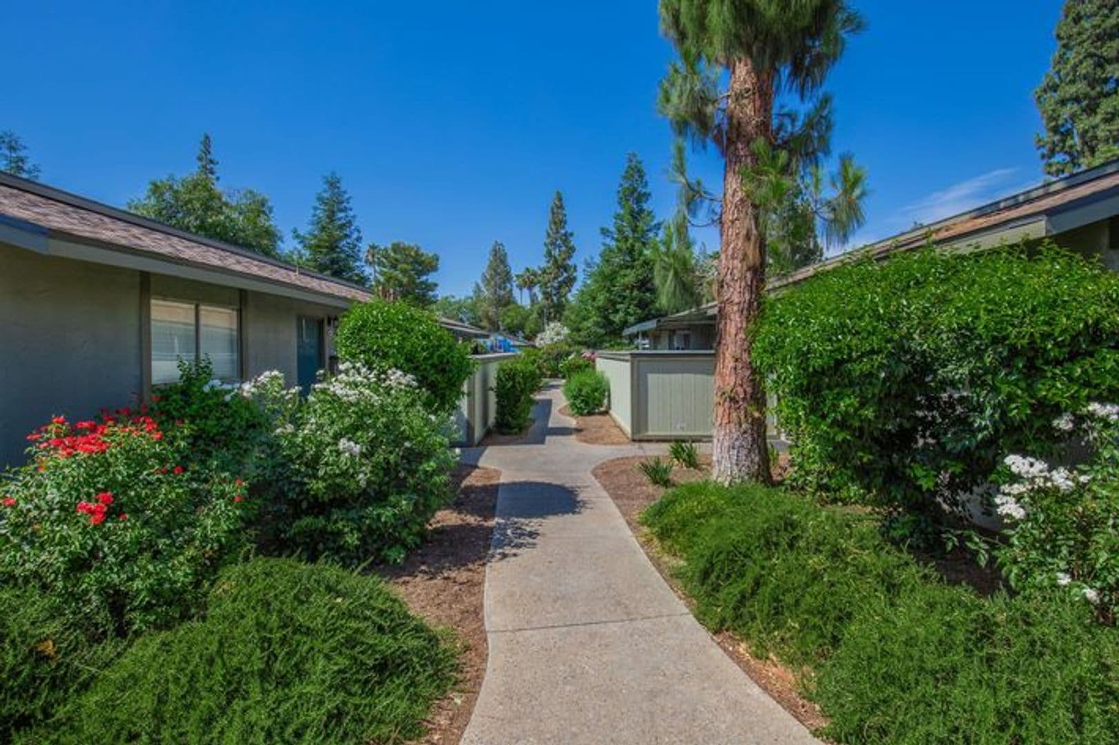 Clovis Apartment: 1201 Scott Ave.