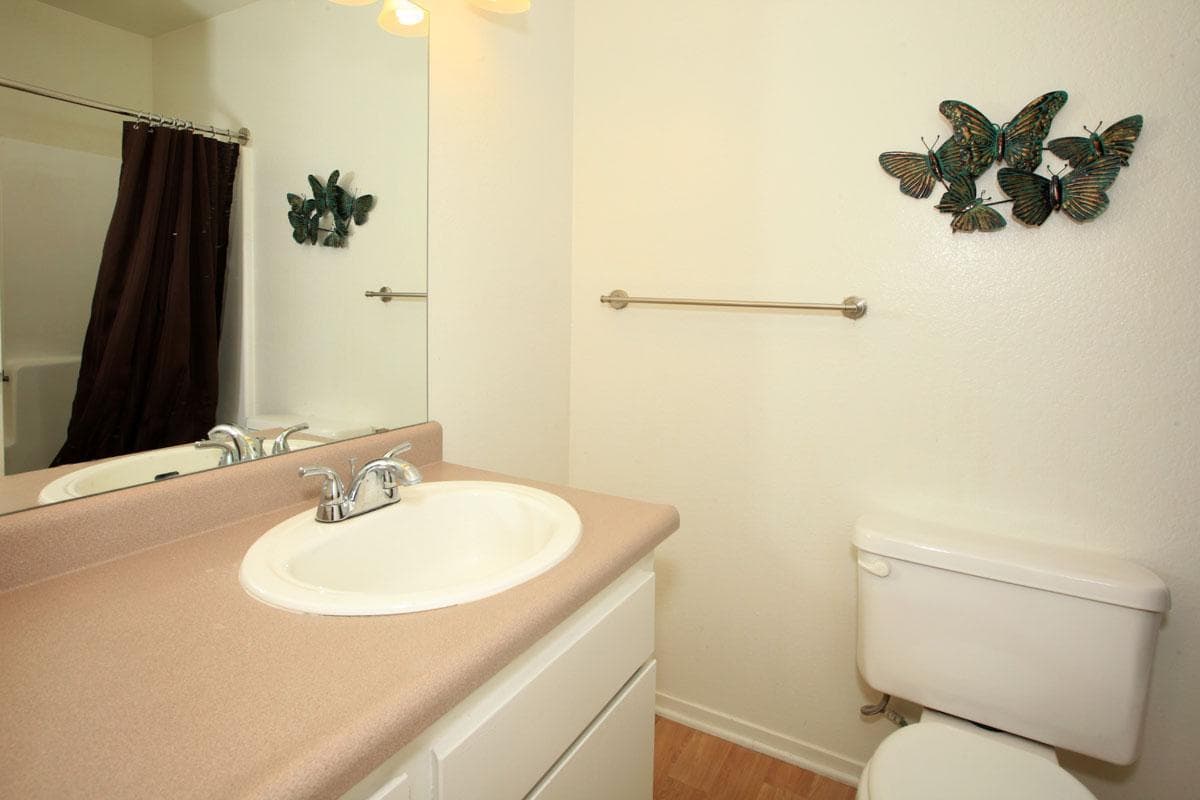 Bakersfield Apartment: 800 New Stine Road