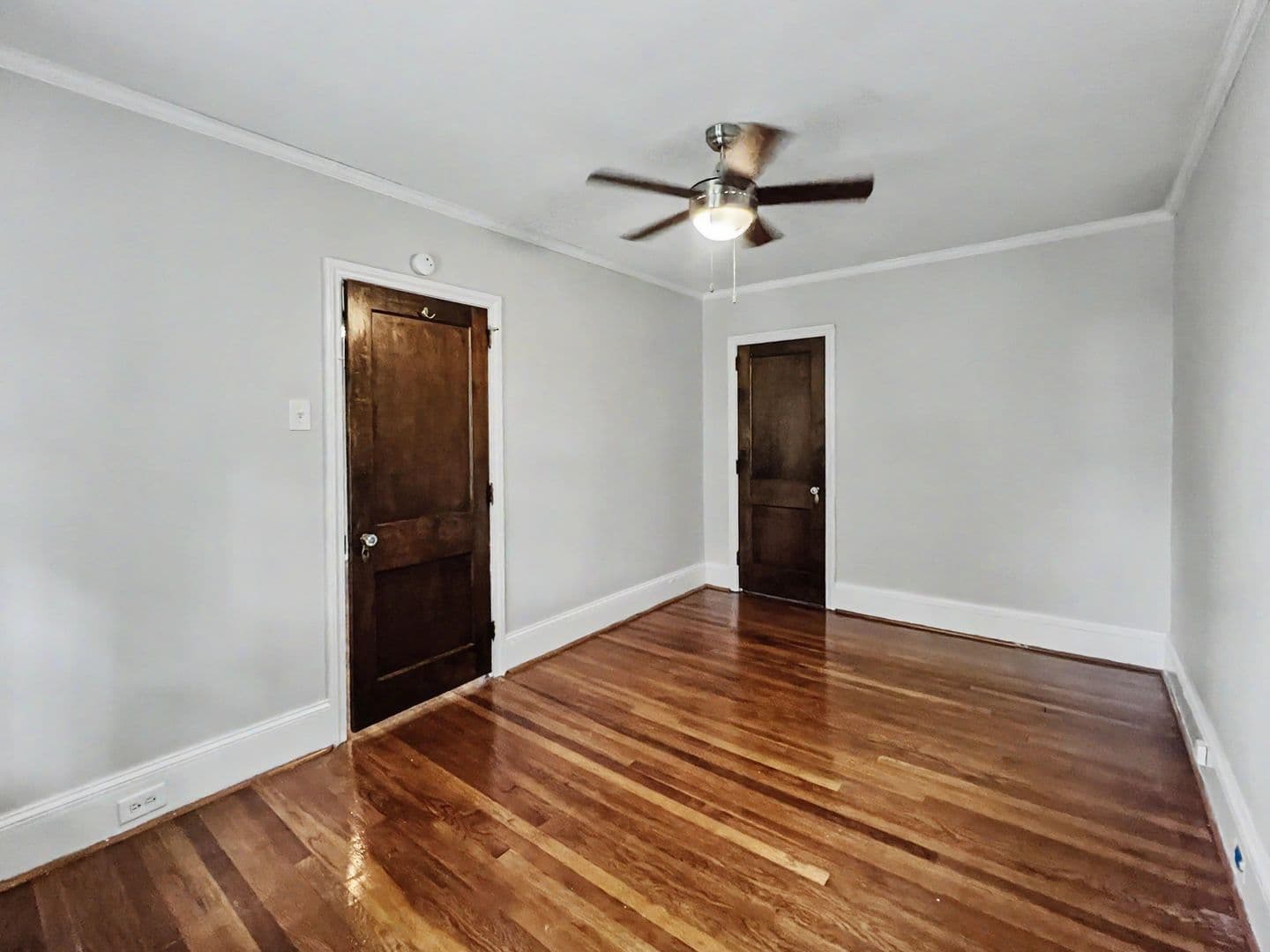 Wayne Apartment: 223 Bloomingdale Ave