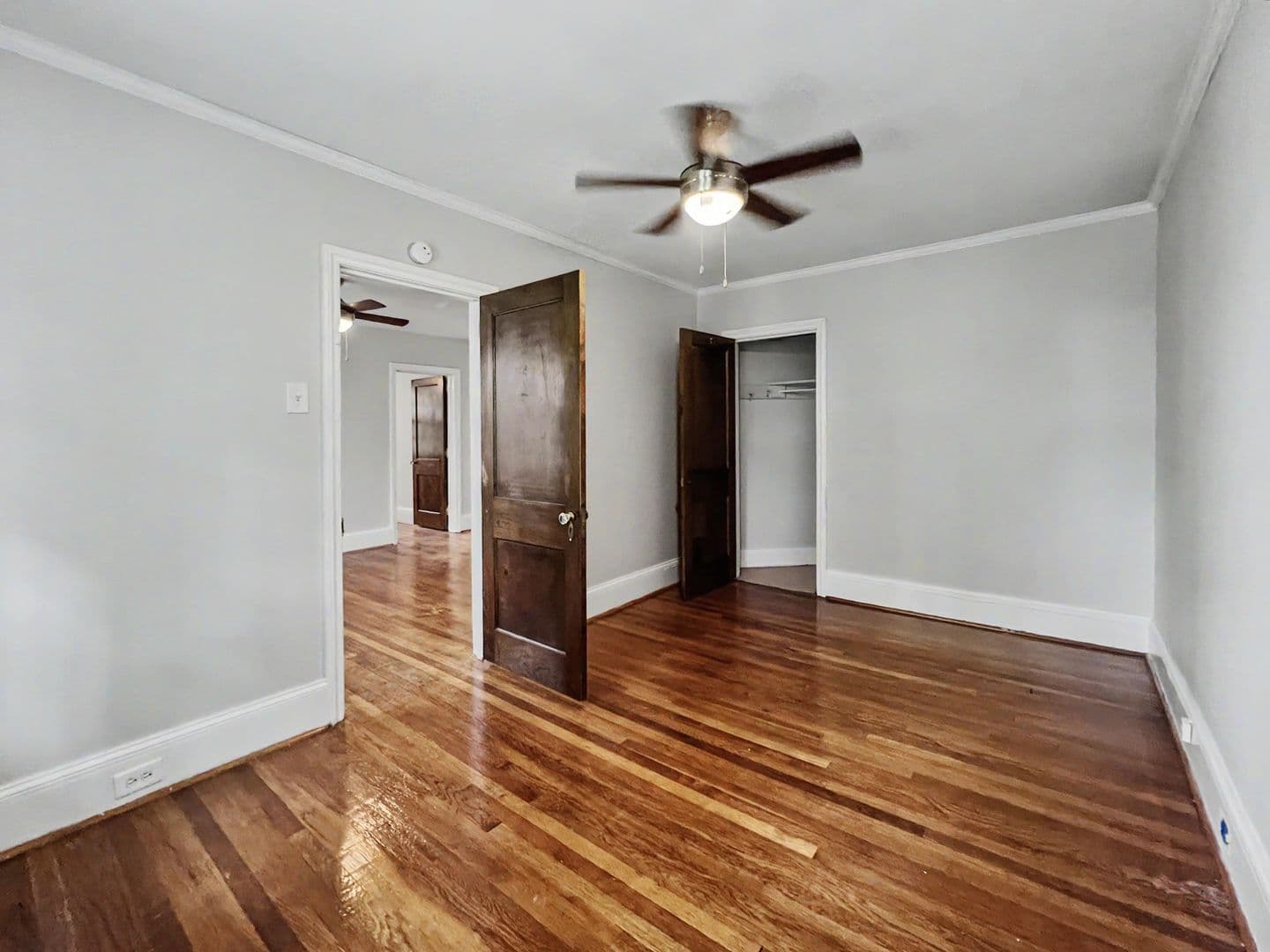 Wayne Apartment: 223 Bloomingdale Ave