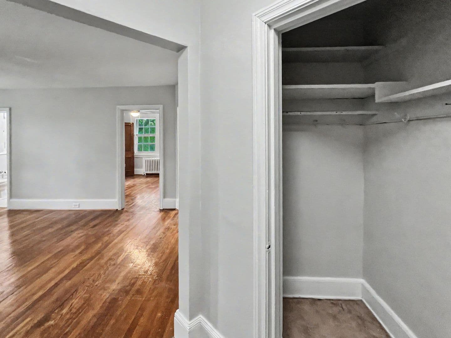 Wayne Apartment: 223 Bloomingdale Ave