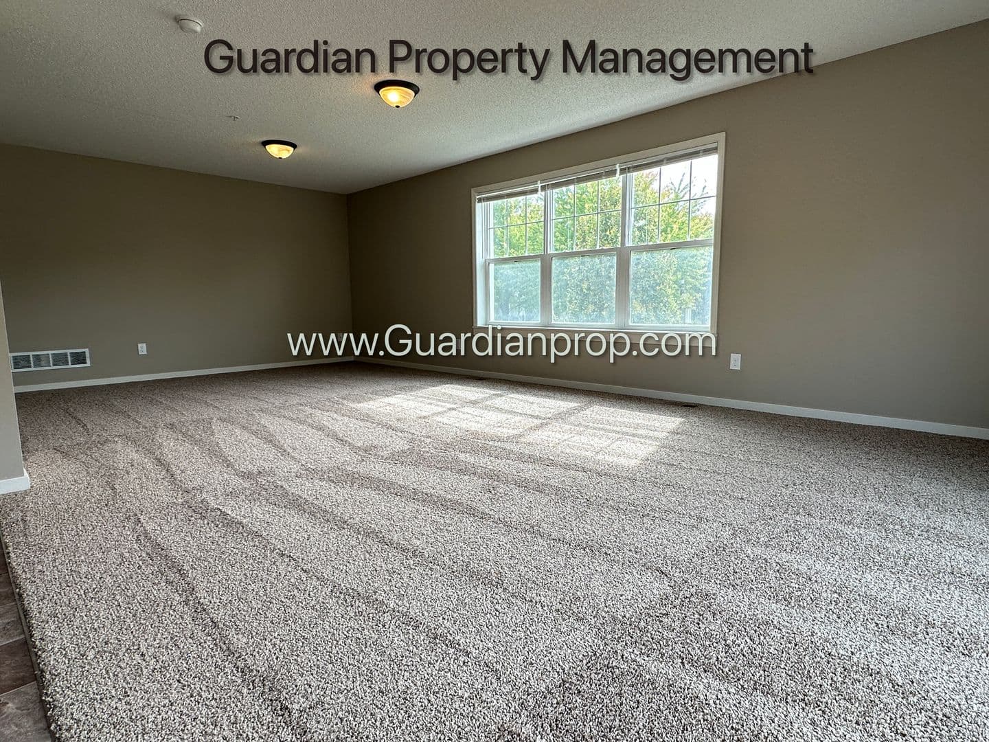 Champlin Townhome: 11948 Emery Village Drive N