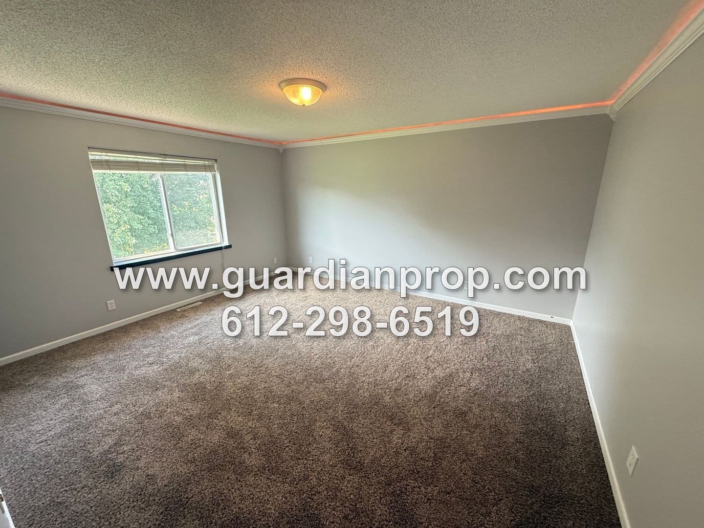 Shakopee Townhome: 2290 Downing Avenue
