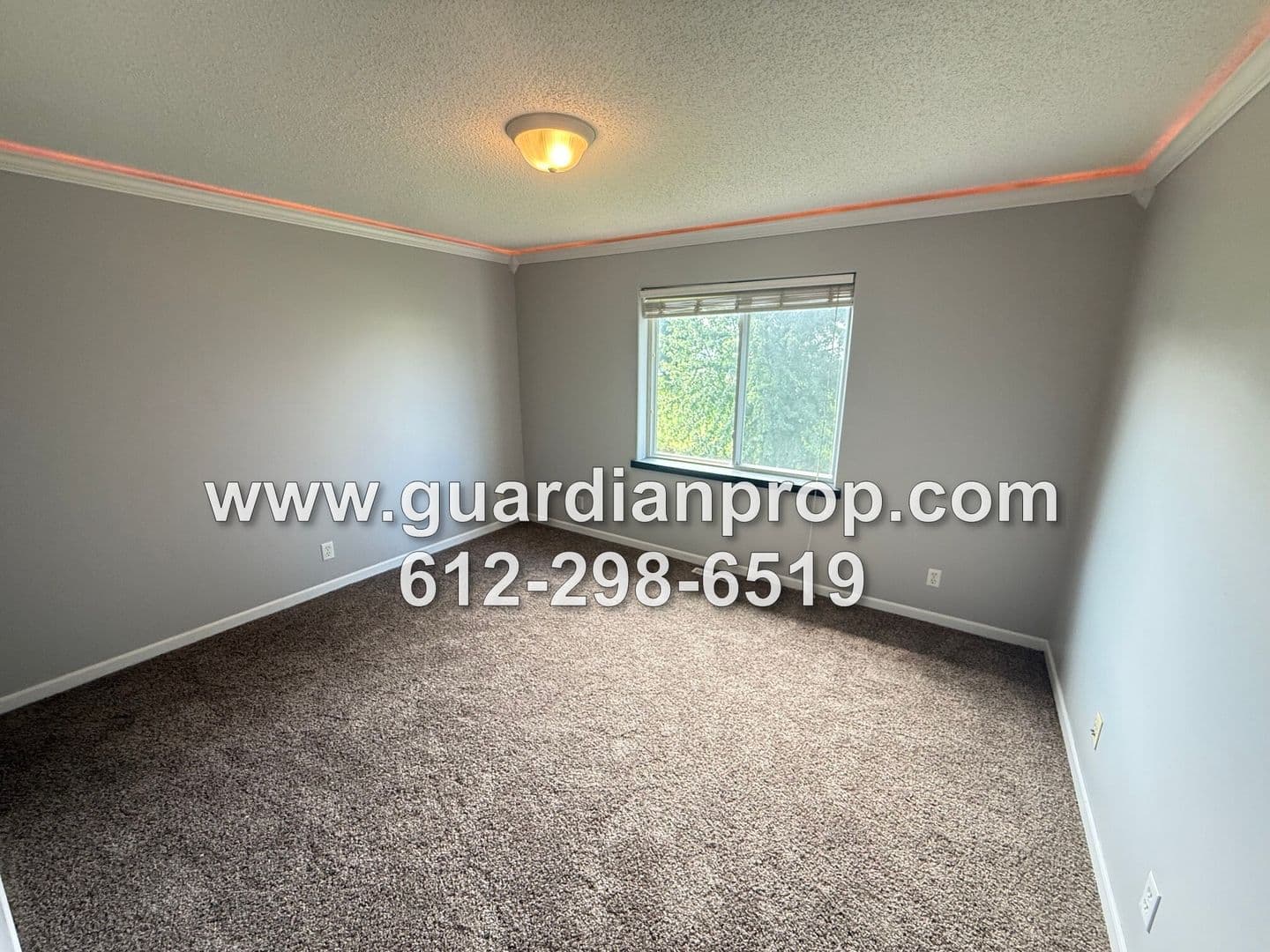 Shakopee Townhome: 2290 Downing Avenue