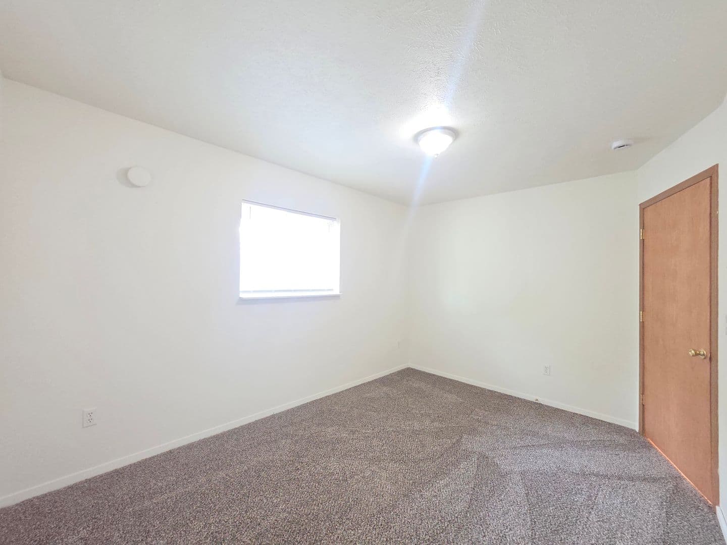 Mead Multiplex: 12604-12606 N Florida St