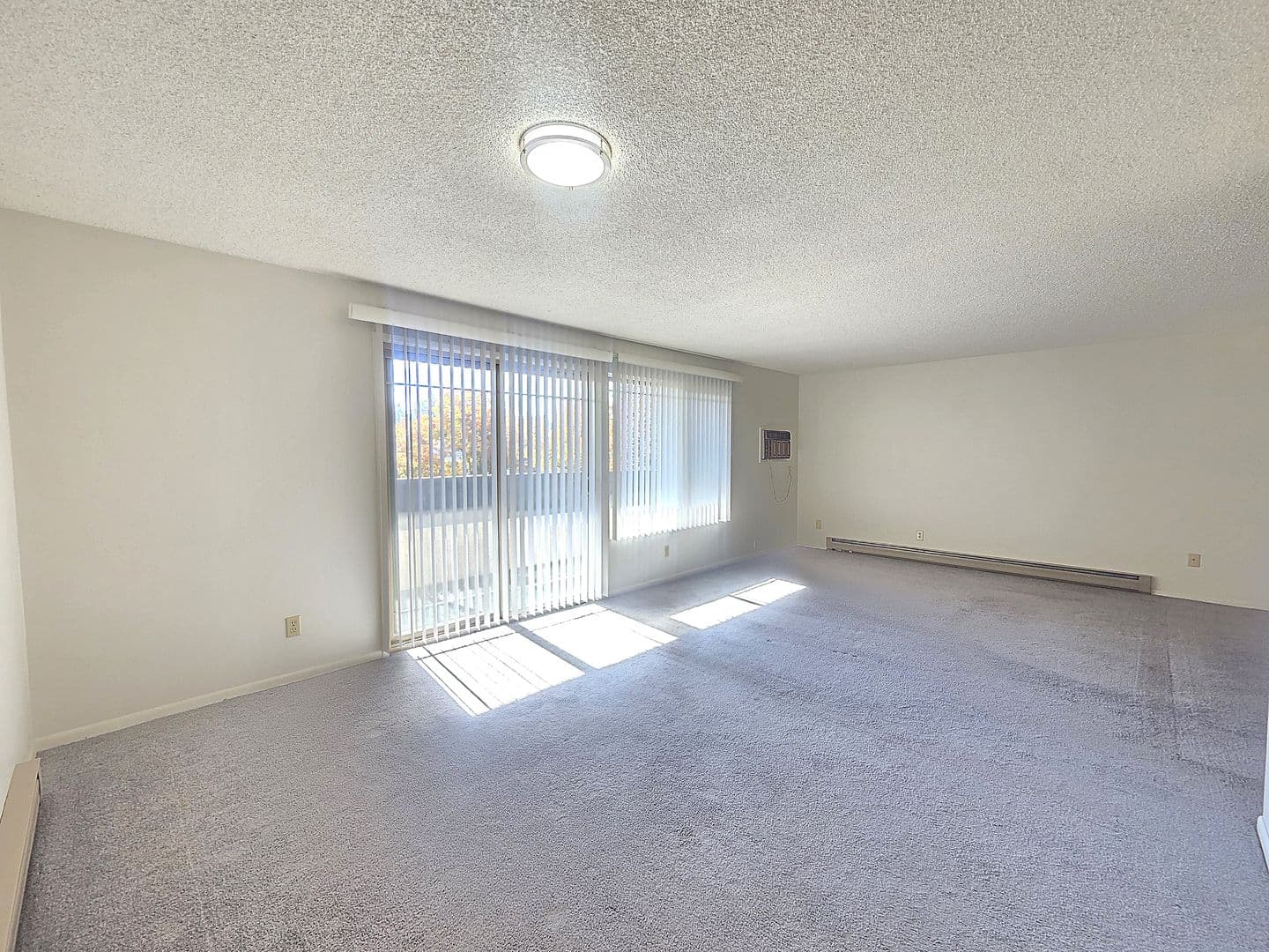Spokane Apartment: 309 E 14th Ave