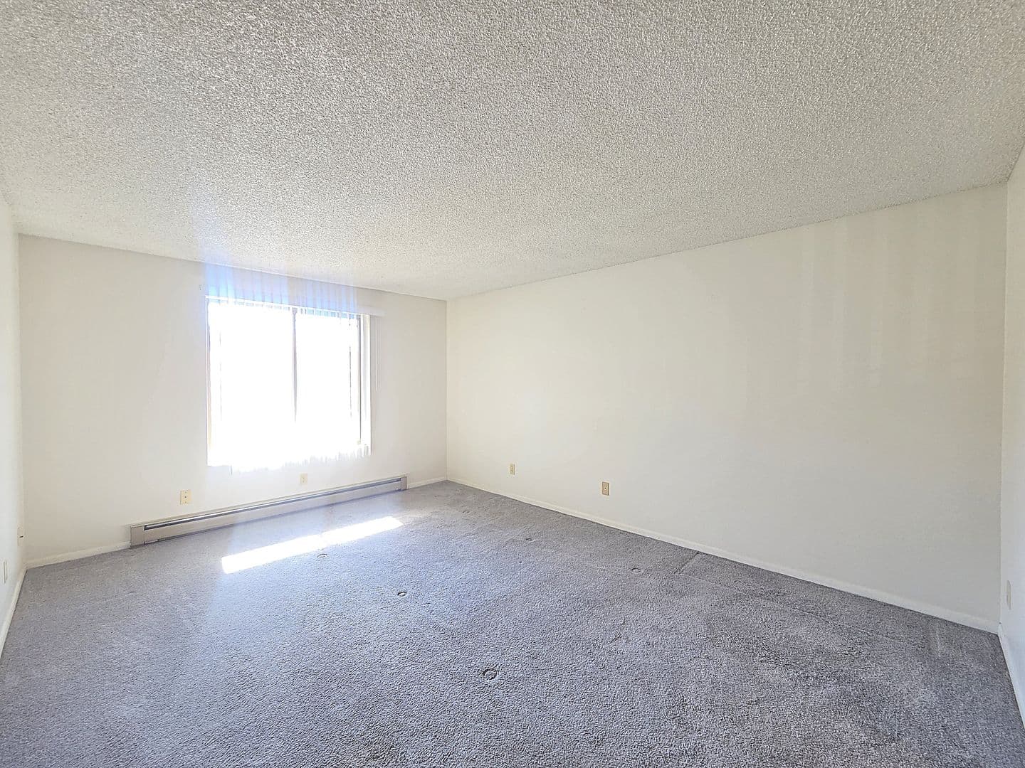 Spokane Apartment: 309 E 14th Ave