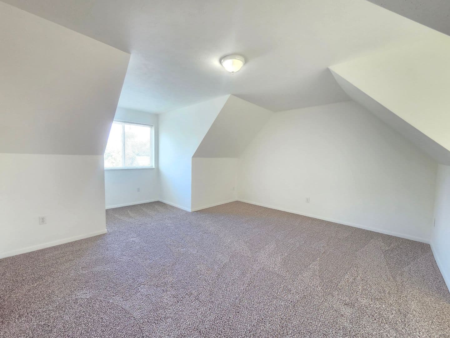 Mead Multiplex: 12604-12606 N Florida St