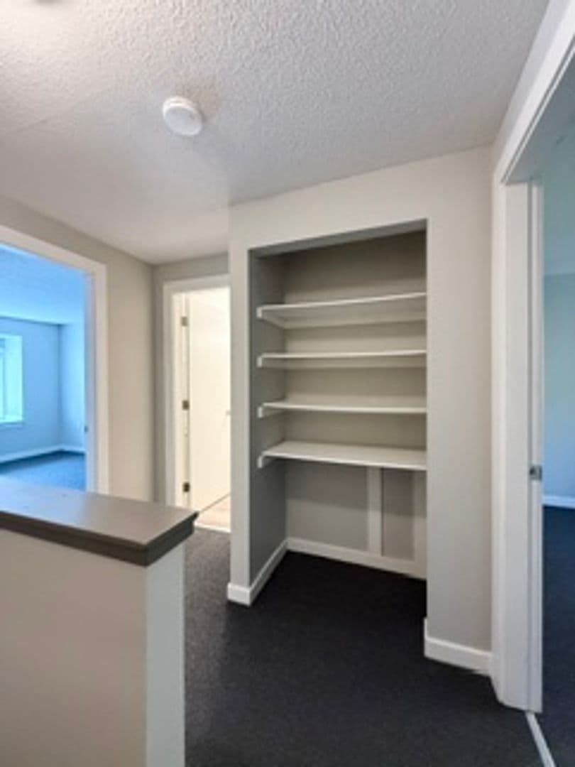 Monmouth Apartment: 293 Blue Road