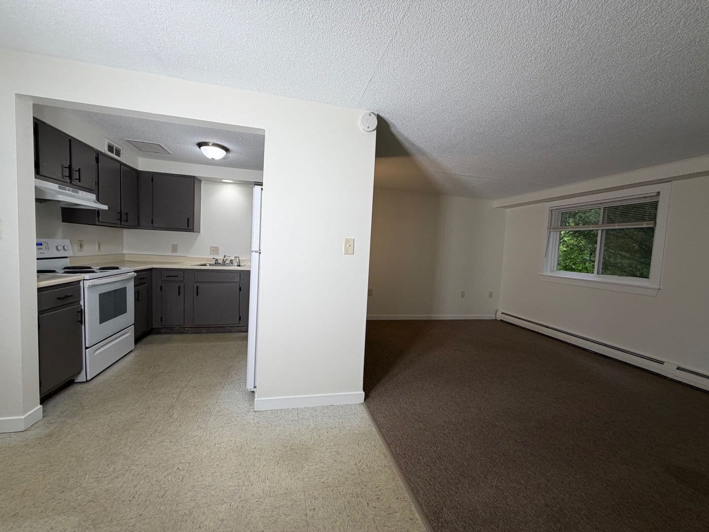 Monmouth Apartment: 293 Blue Road