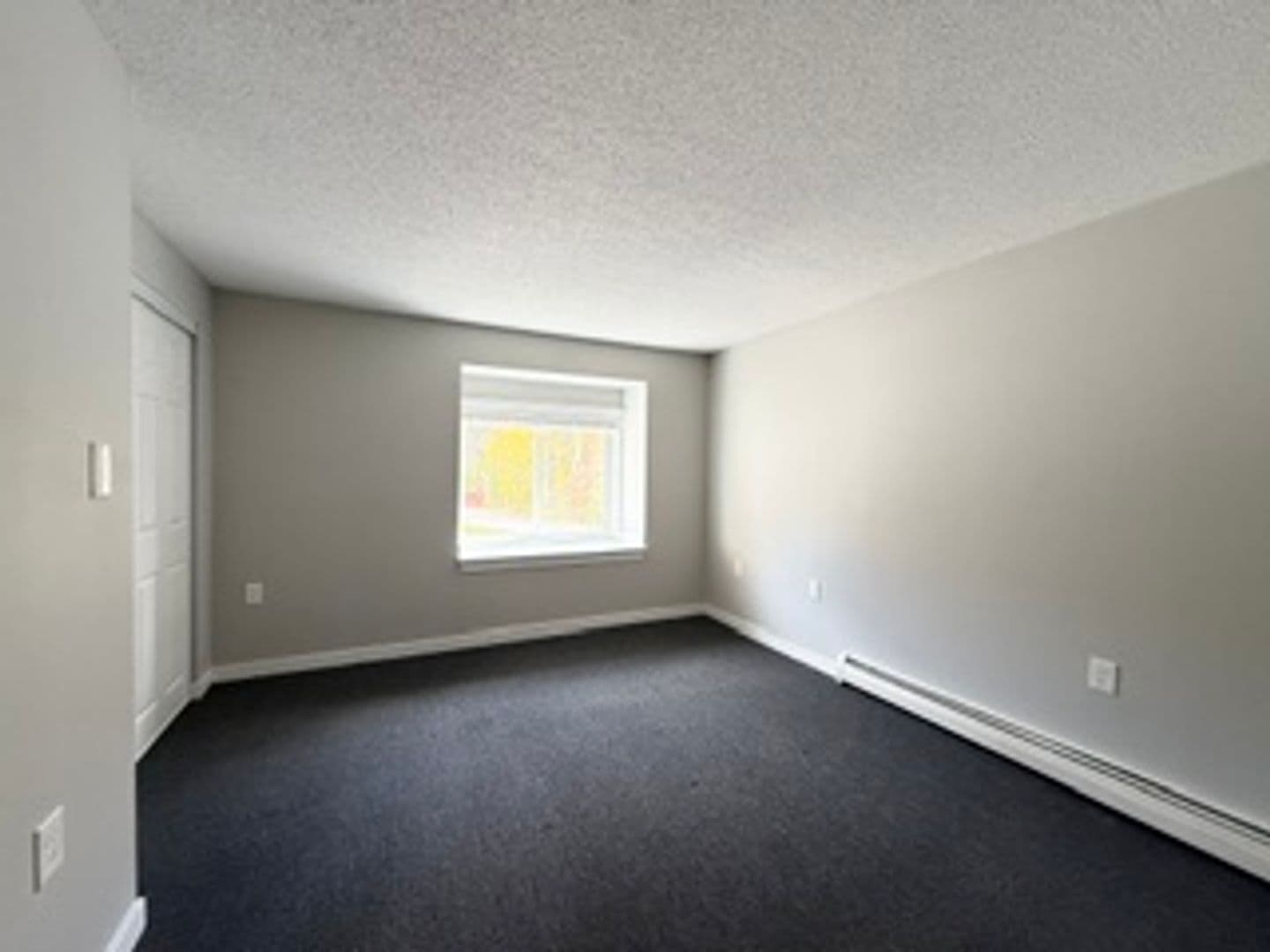 Monmouth Apartment: 293 Blue Road