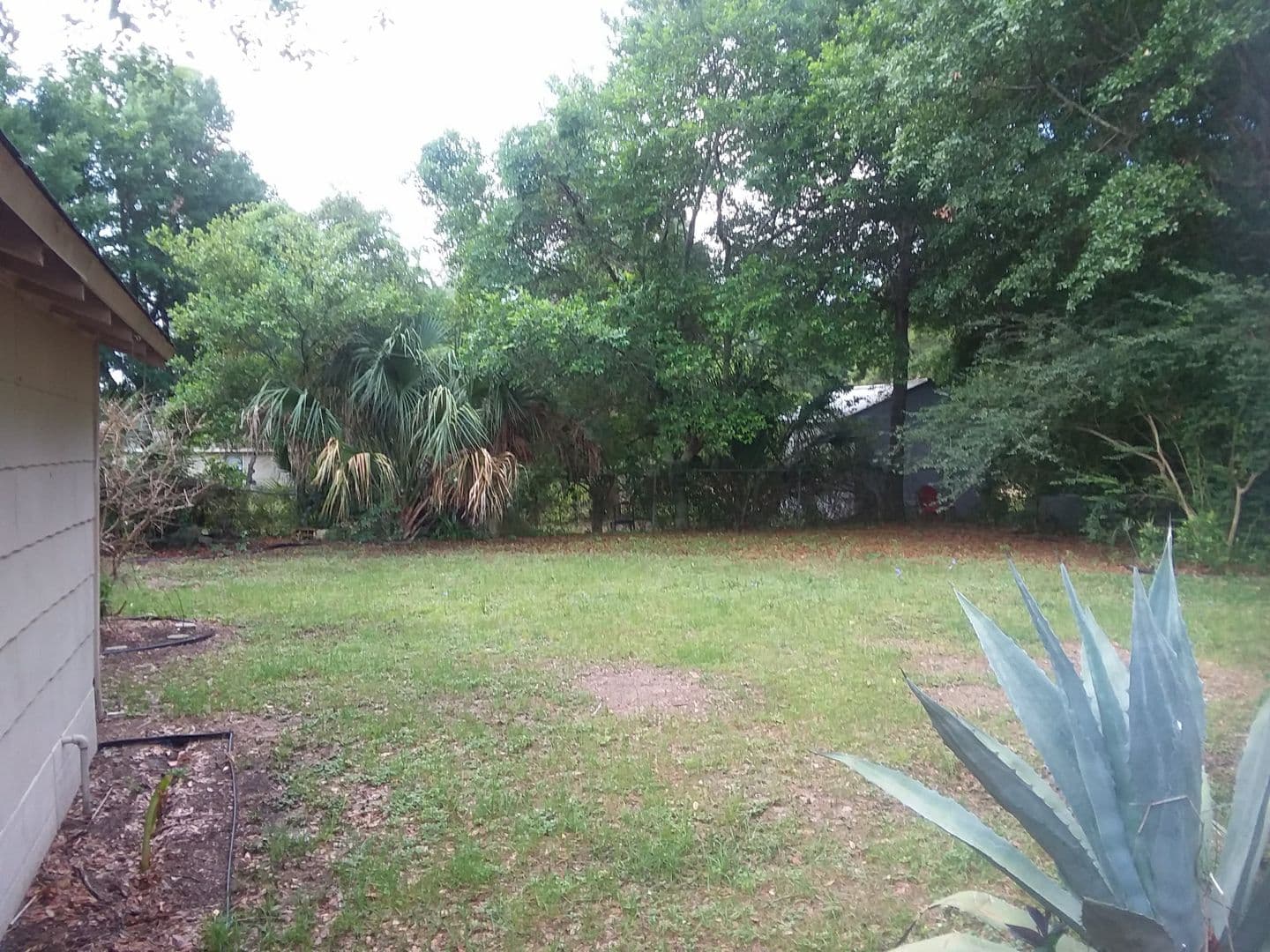 Pensacola House: 1941 W Government St