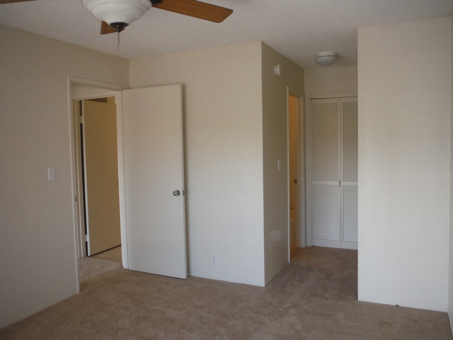 Honolulu Apartment: 271R Mananai Pl