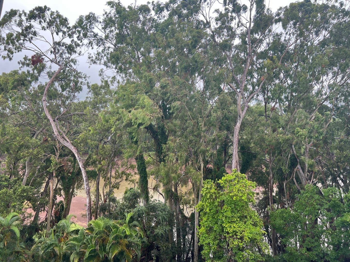 Wahiawa Apartment: 1600 Wilikina Drive #B-709
