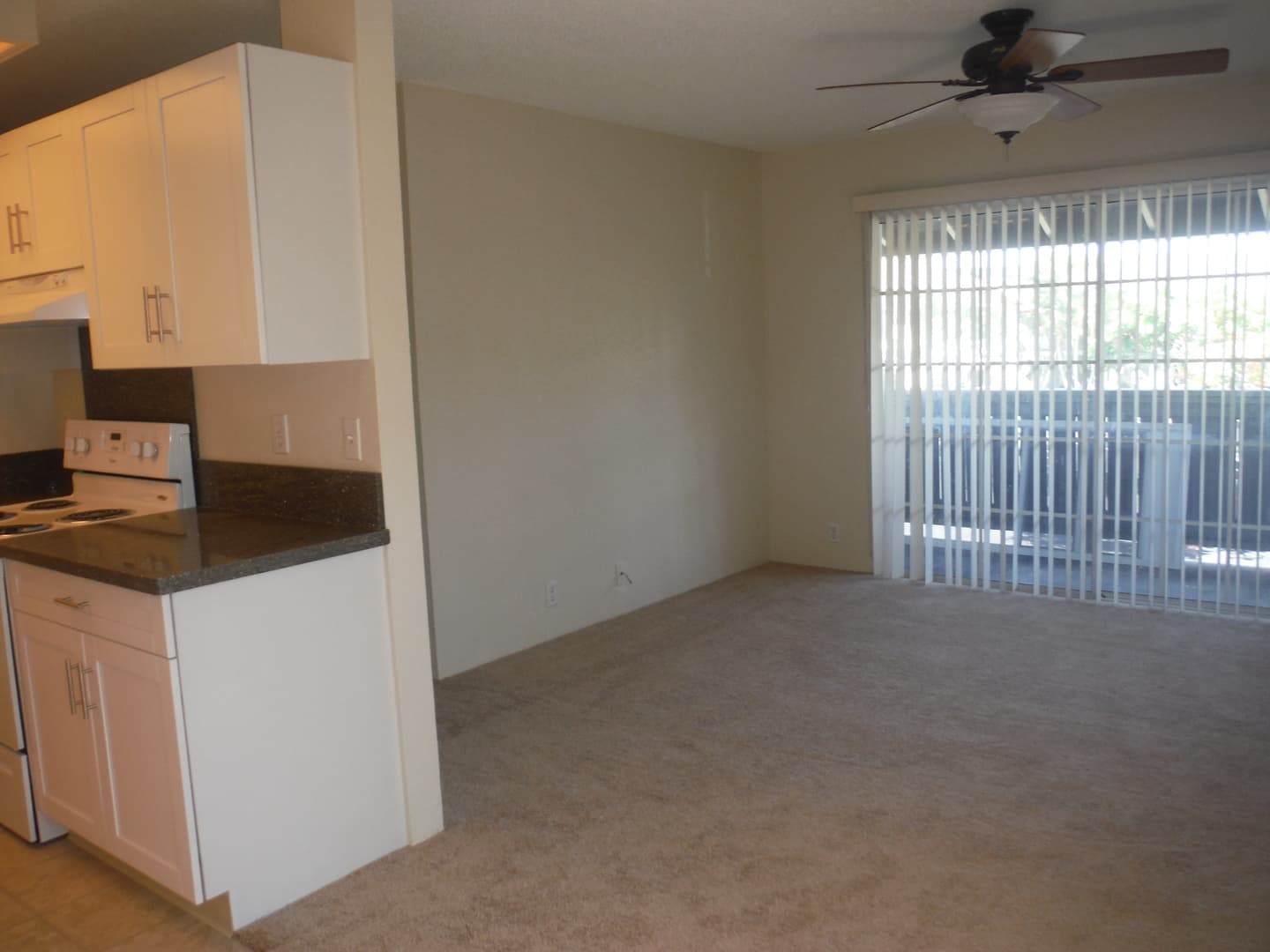 Honolulu Apartment: 271R Mananai Pl