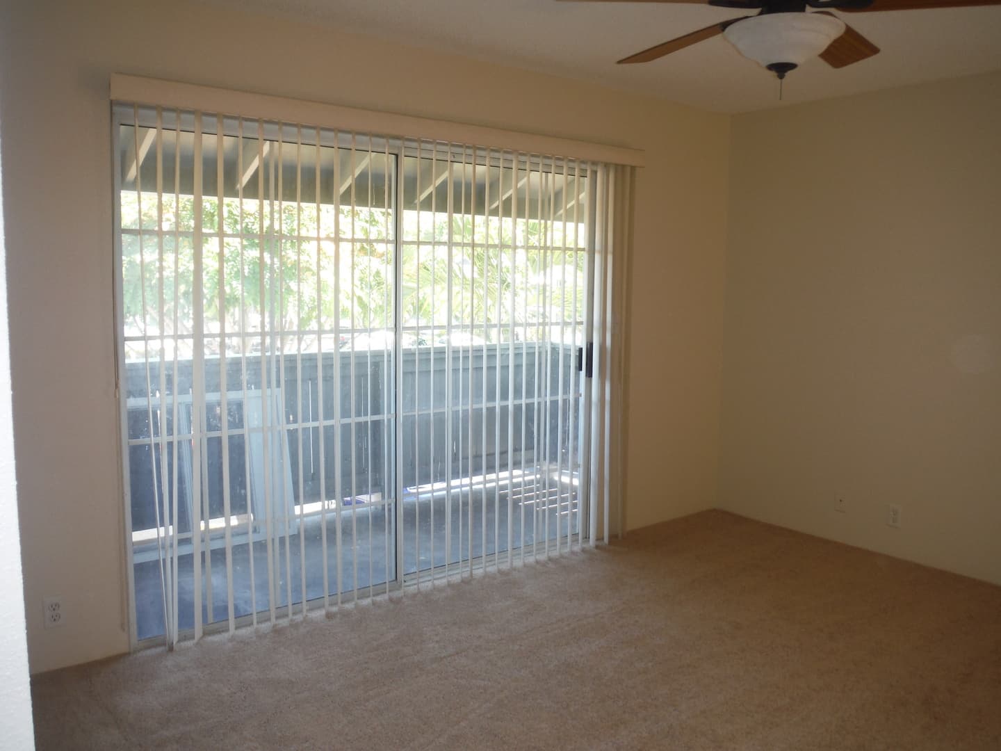 Honolulu Apartment: 271R Mananai Pl