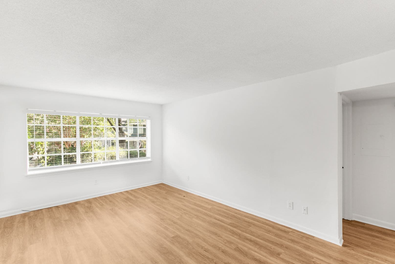 Birmingham Apartment: 1608-1620 14th Ave S