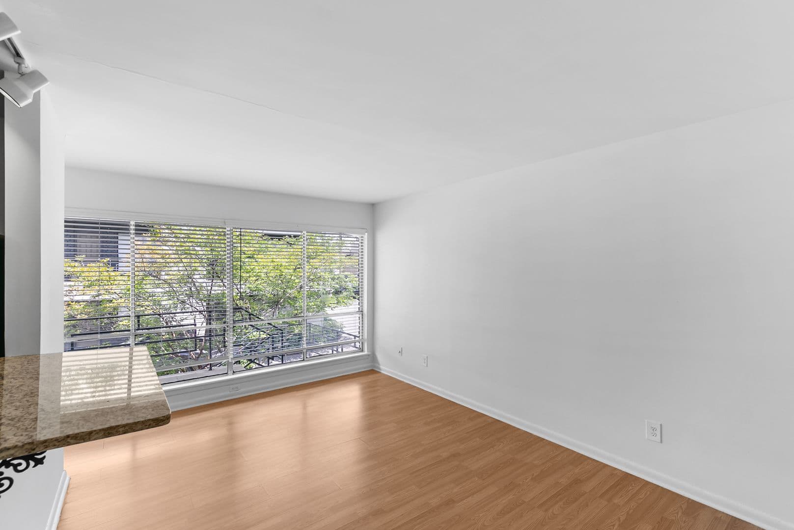 Birmingham Apartment: 1613 13th Ave S