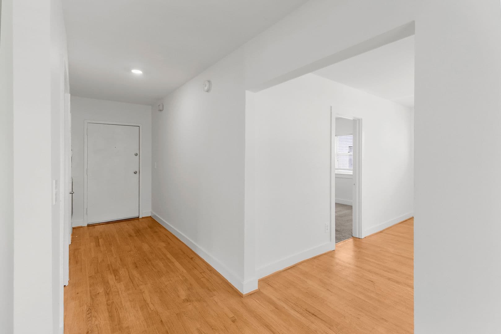 Birmingham Apartment: 1407 14th Street S