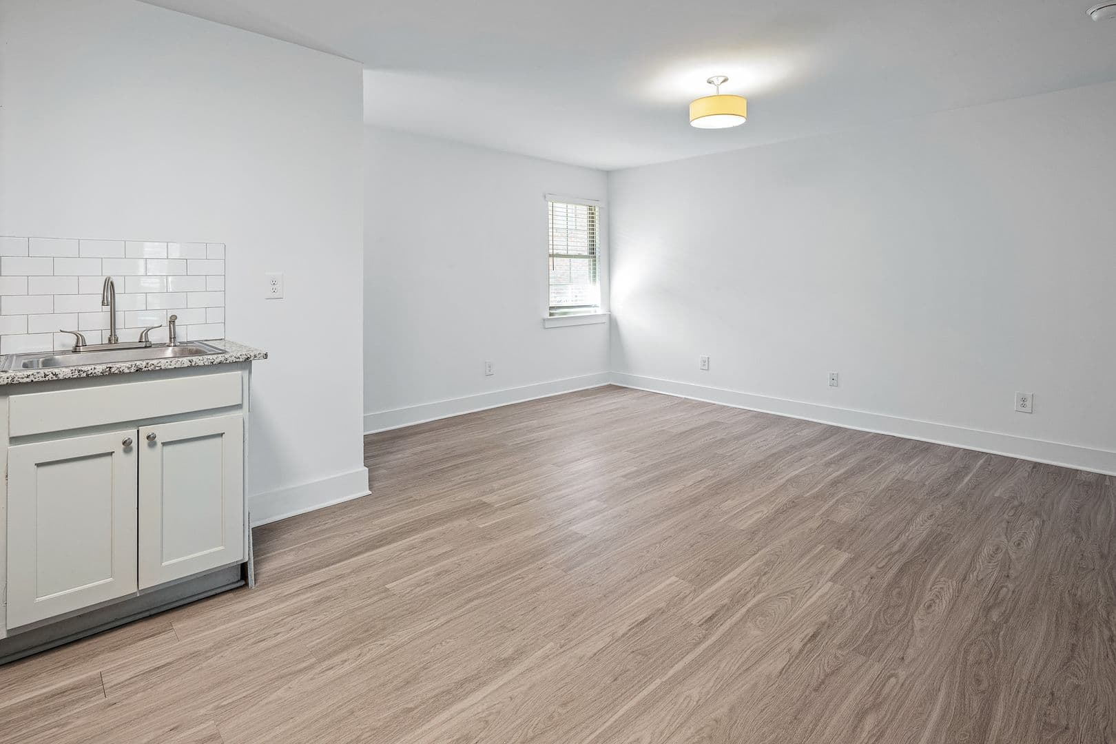 Birmingham Apartment: 4226 5th Ave S