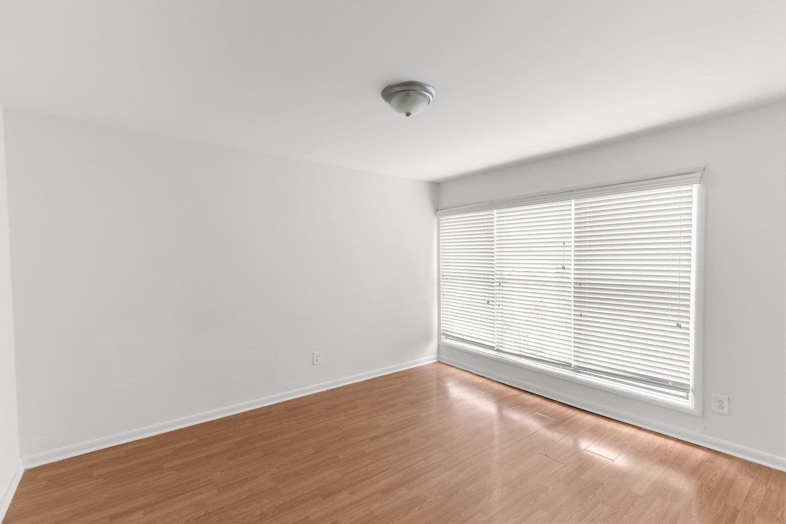 Birmingham Apartment: 1613 13th Ave S