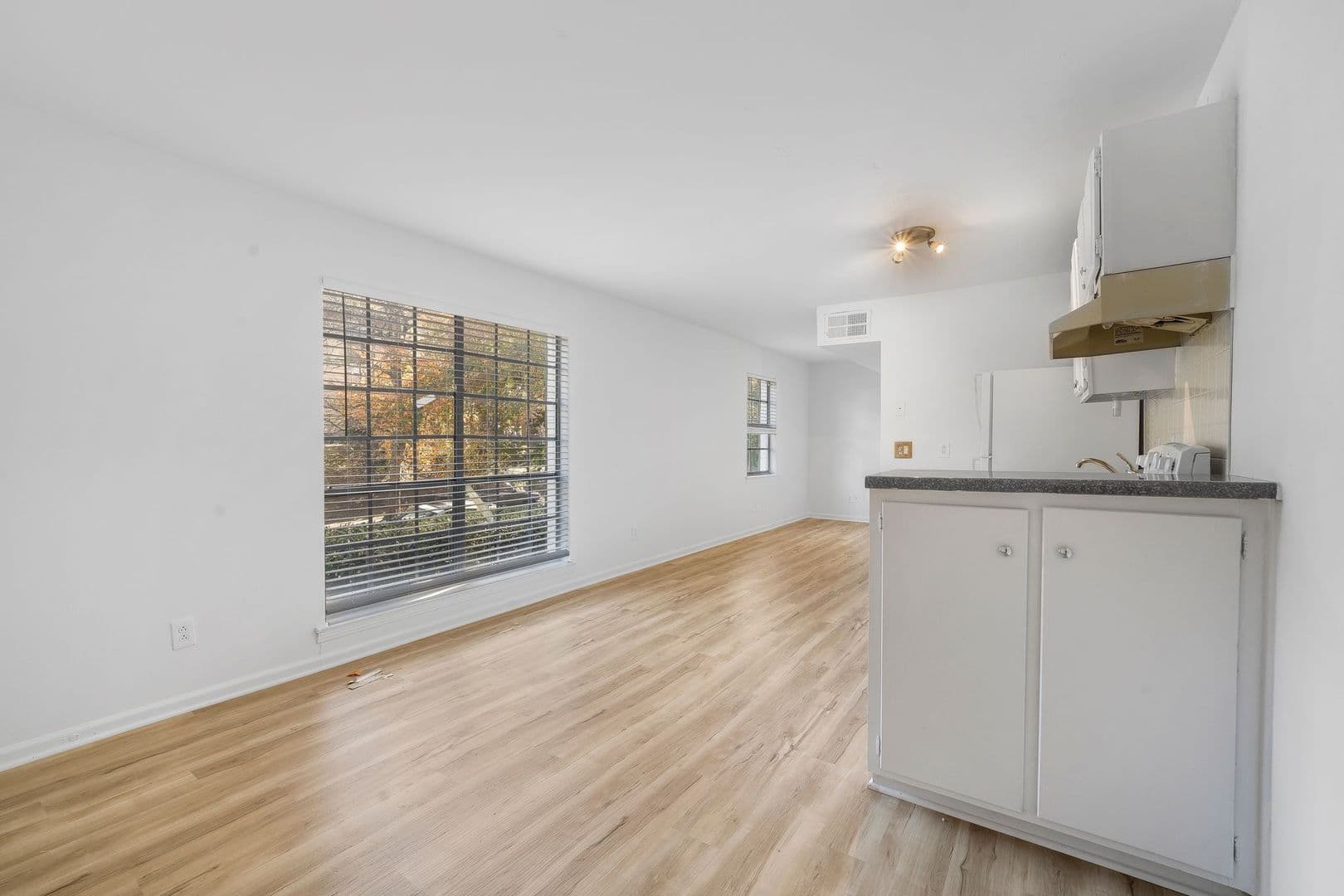 Birmingham Apartment: 1316 33rd St S
