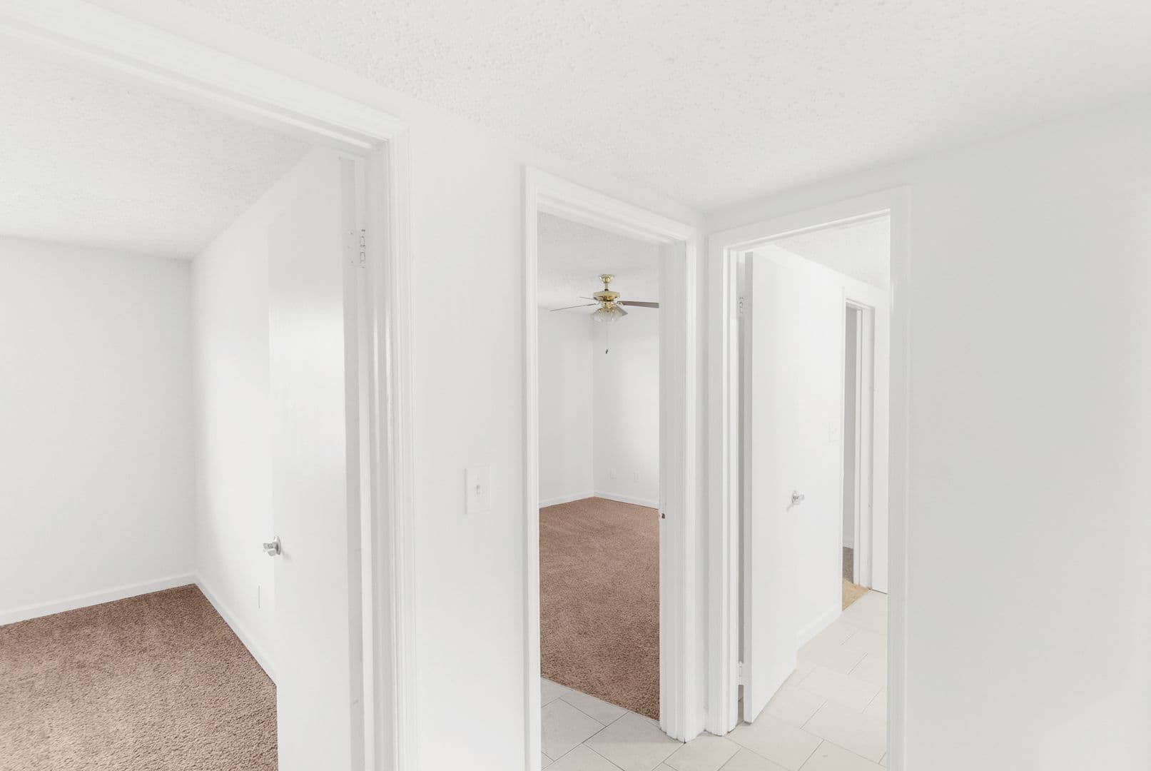 Birmingham Apartment: 1331 14th Ave S