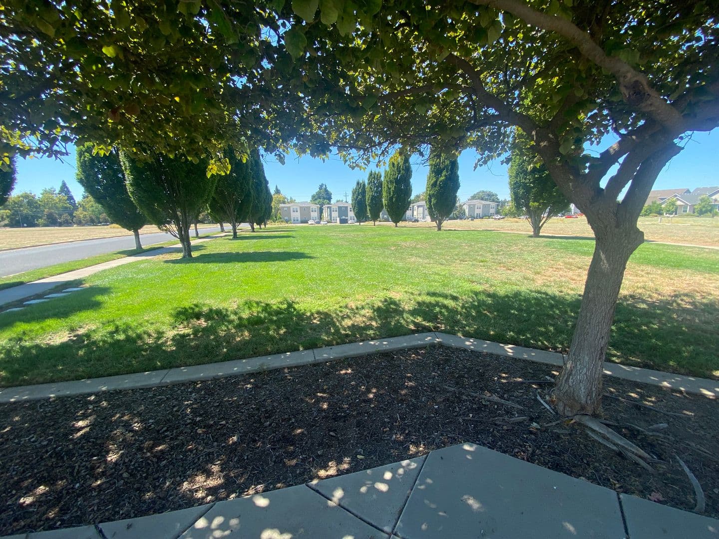 Chico Apartment: 1310 Roycroft Ln