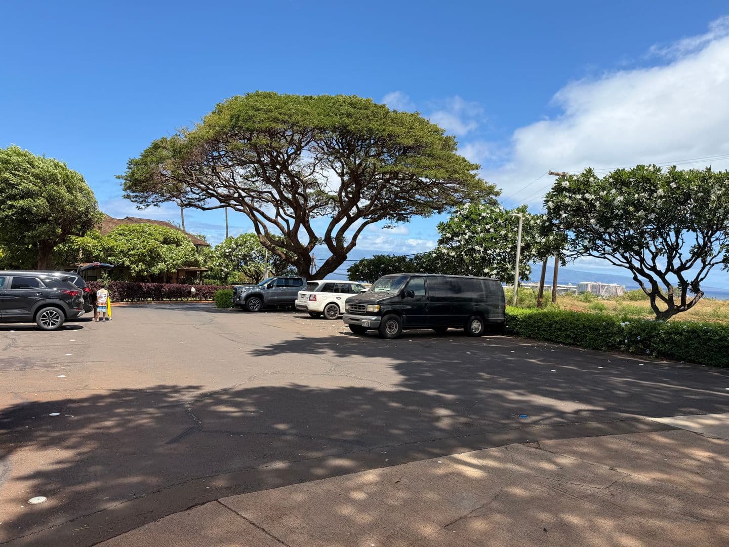 Lahaina Townhome: 150 Puukolii Rd #29,