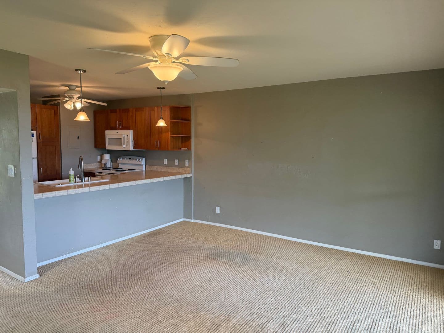Lahaina Townhome: 150 Puukolii Rd #29,