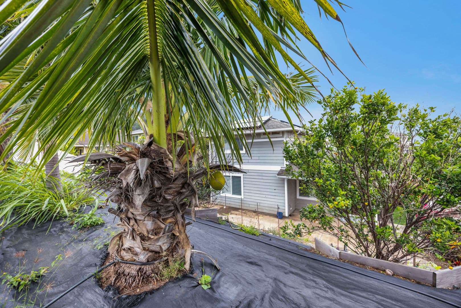 Wailuku House: 103 Ka Ikena Loop