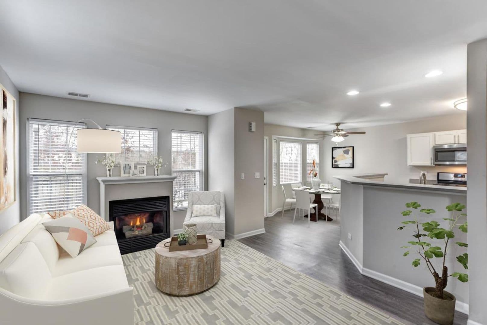 Aurora Apartment: 168 Gregory St