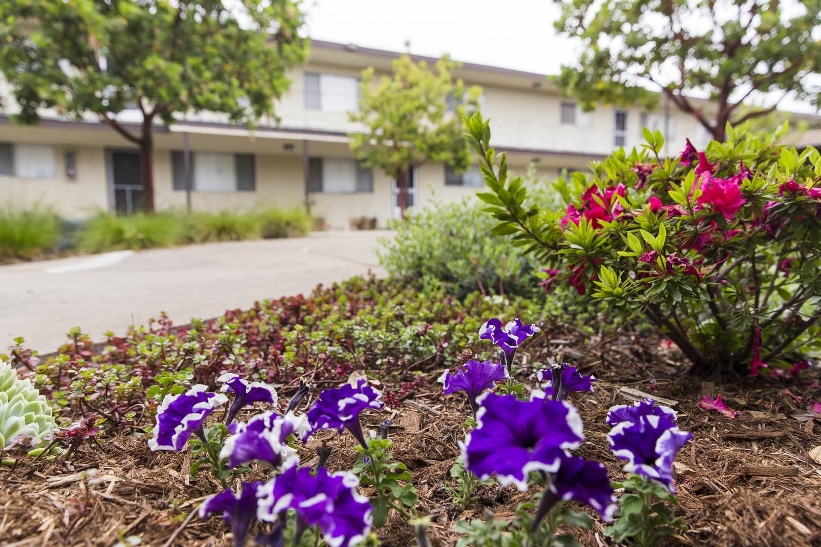 San Leandro Apartment: 1600 162nd Avenue