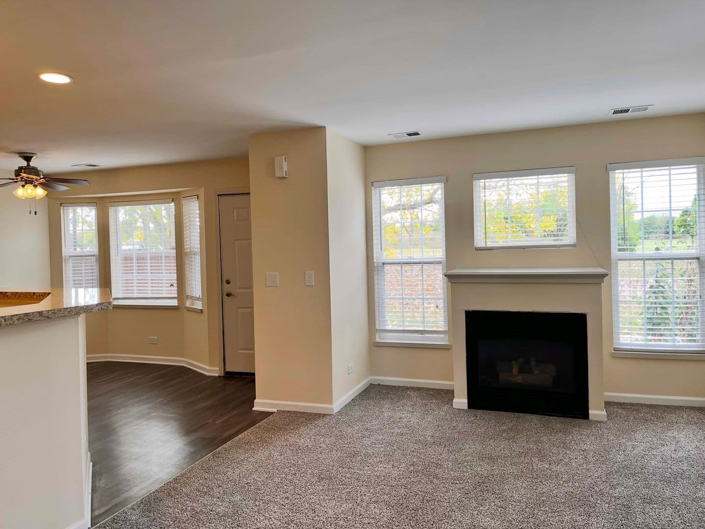 Aurora Apartment: 168 Gregory St