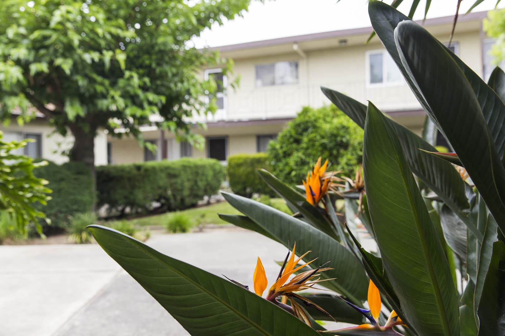 San Leandro Apartment: 1600 162nd Avenue