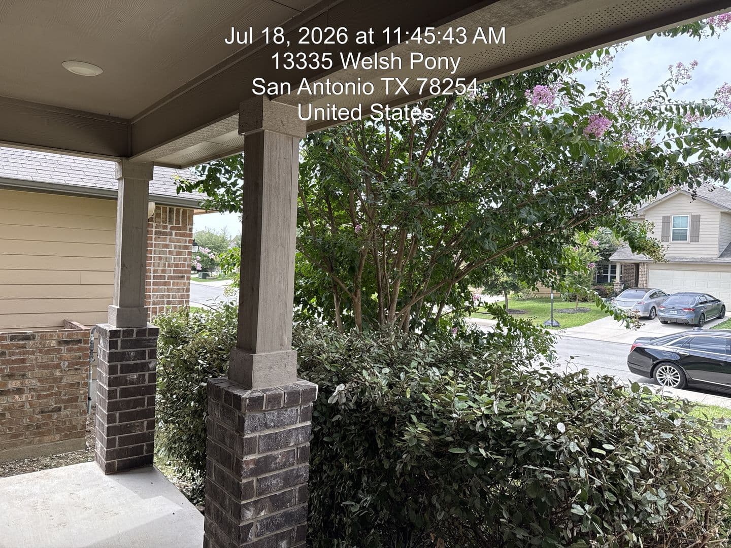 San Antonio House: 13335-Welsh pony