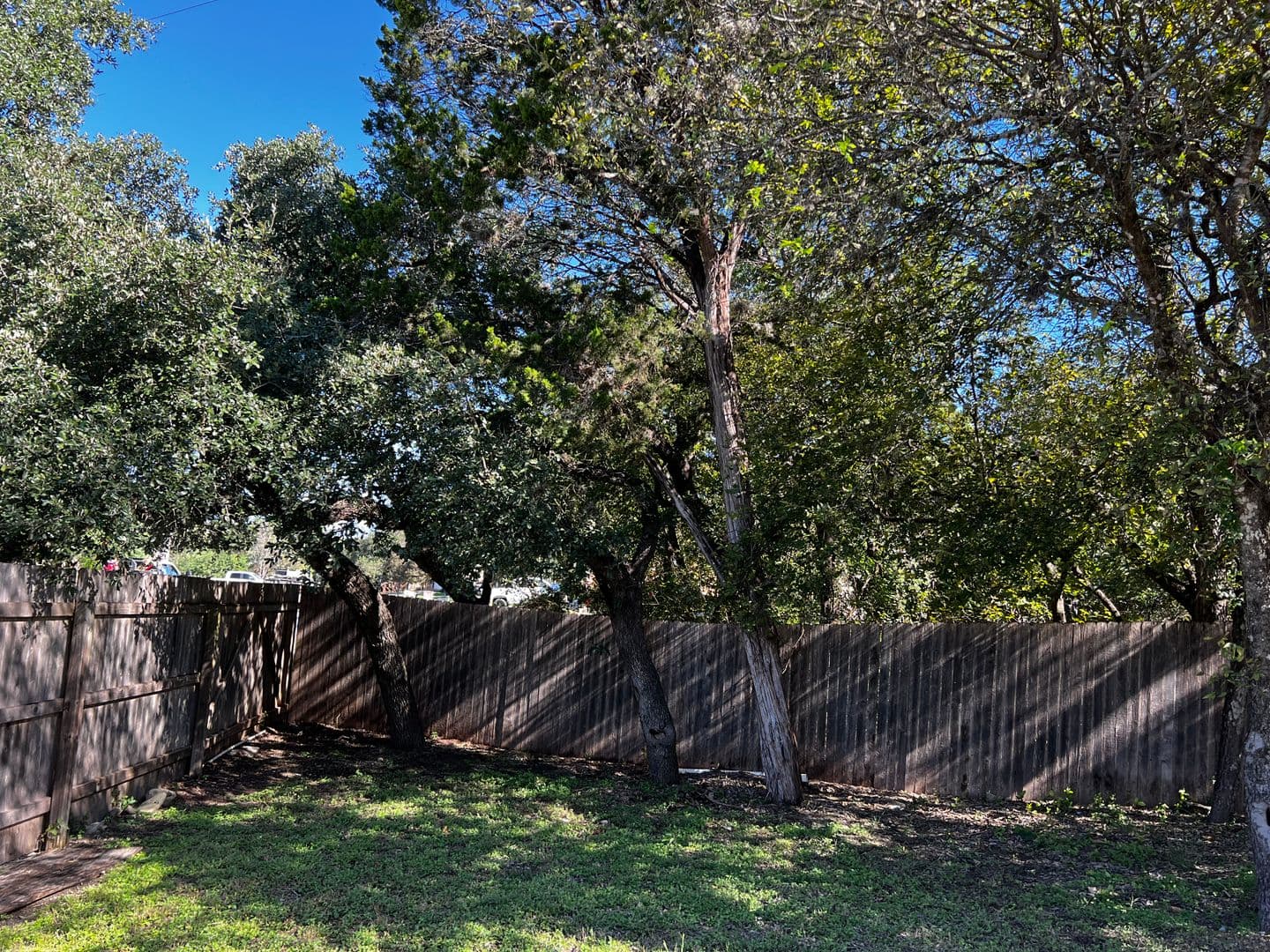 San Antonio House: 7910-Mainland Woods