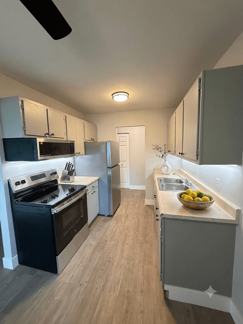 Lansing Apartment: 737 Louisa Street