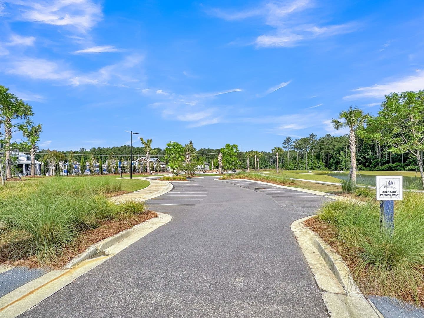 Summerville House: 509 Red Twig Rd