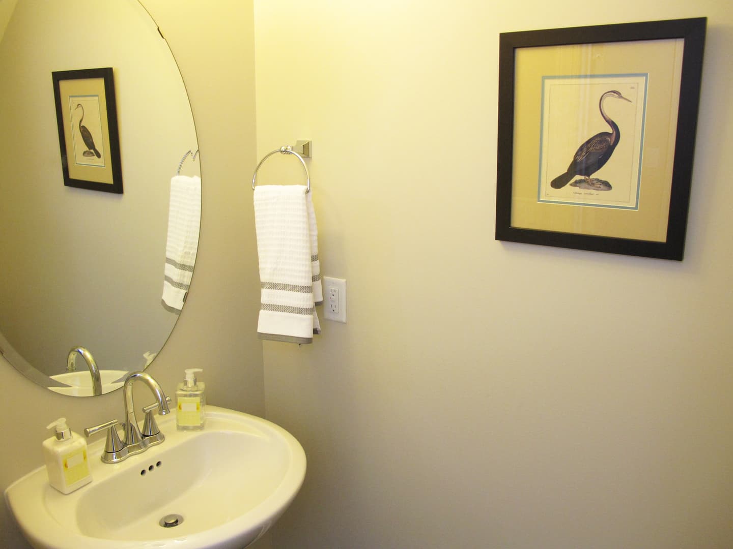 Wilmington Apartment: Fenway Lane