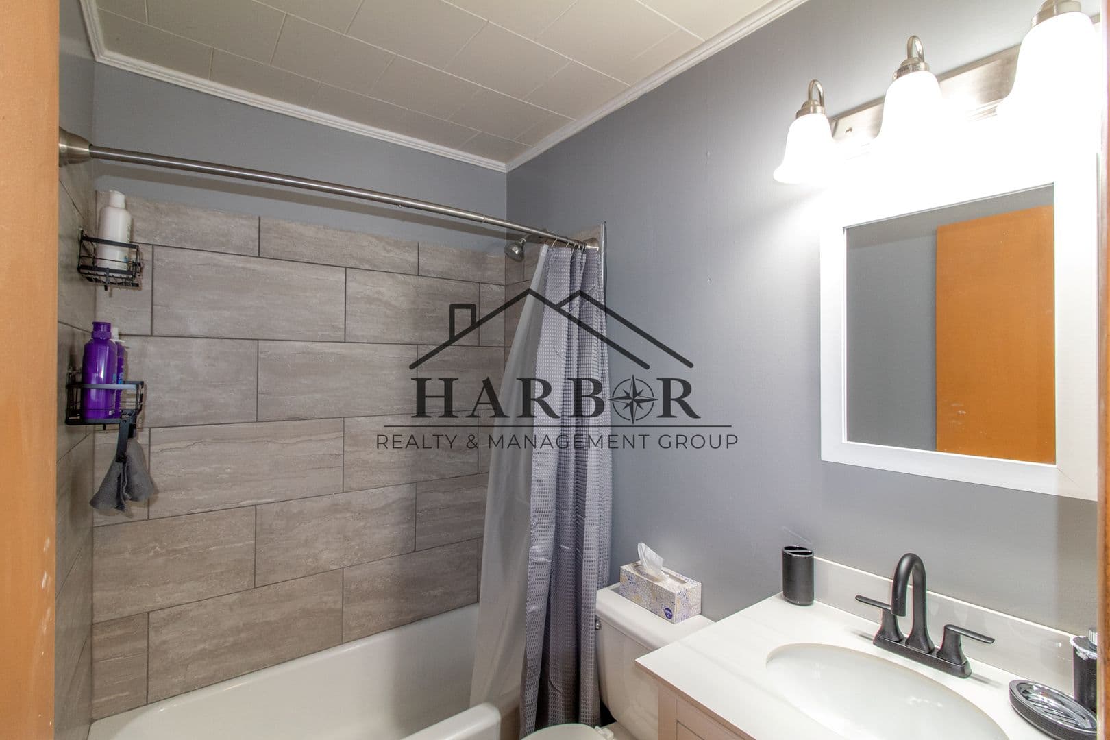 Rochester Apartment: 517 5th Avenue SE