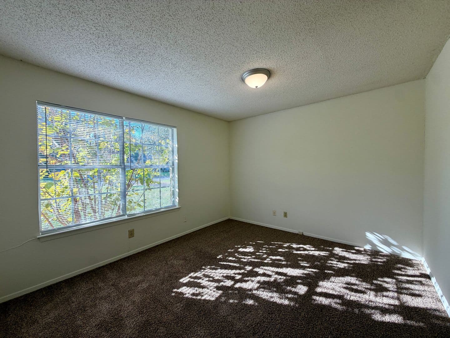 Hewitt House: 308 Cedarwood