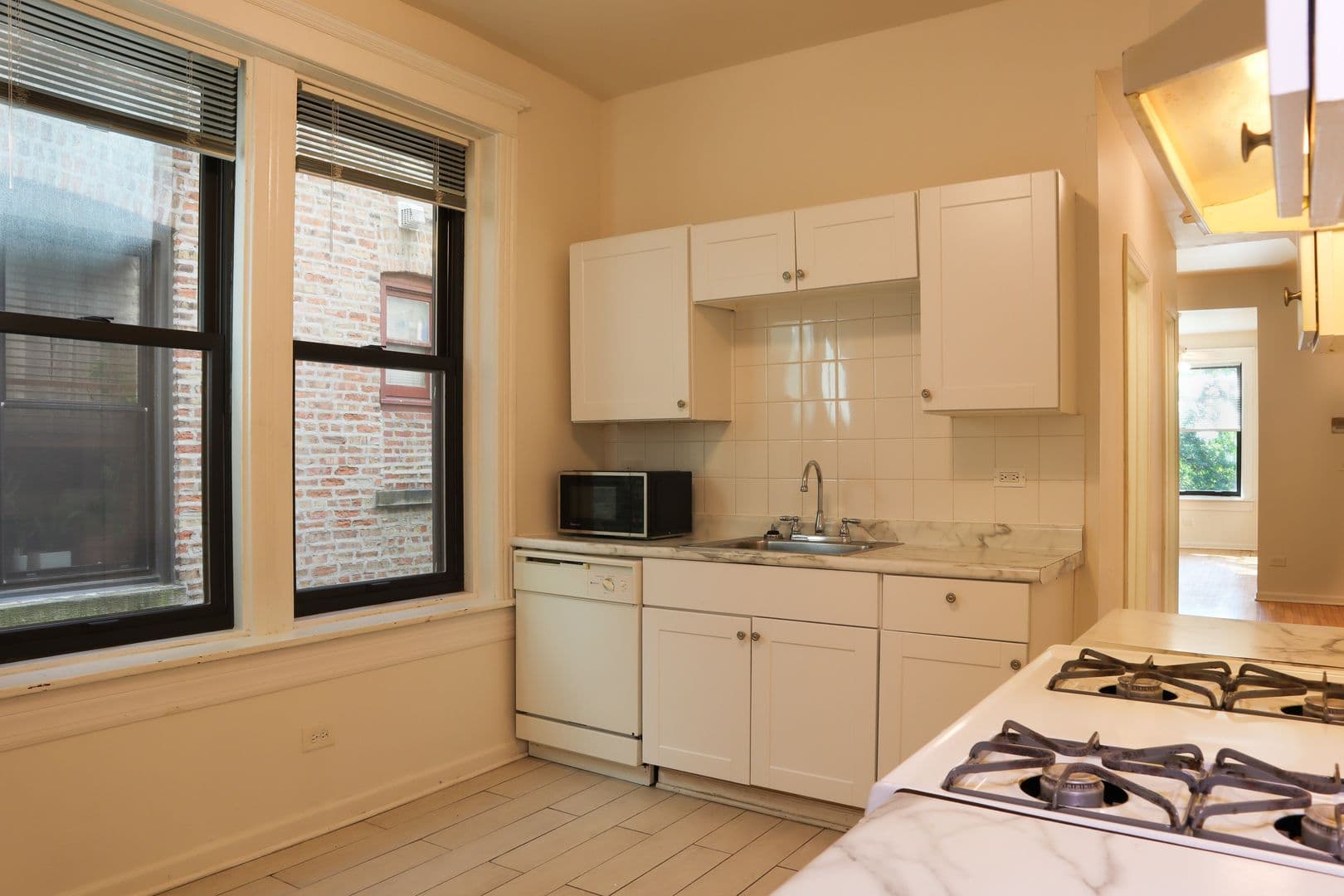 Chicago Apartment: 905 S Claremont