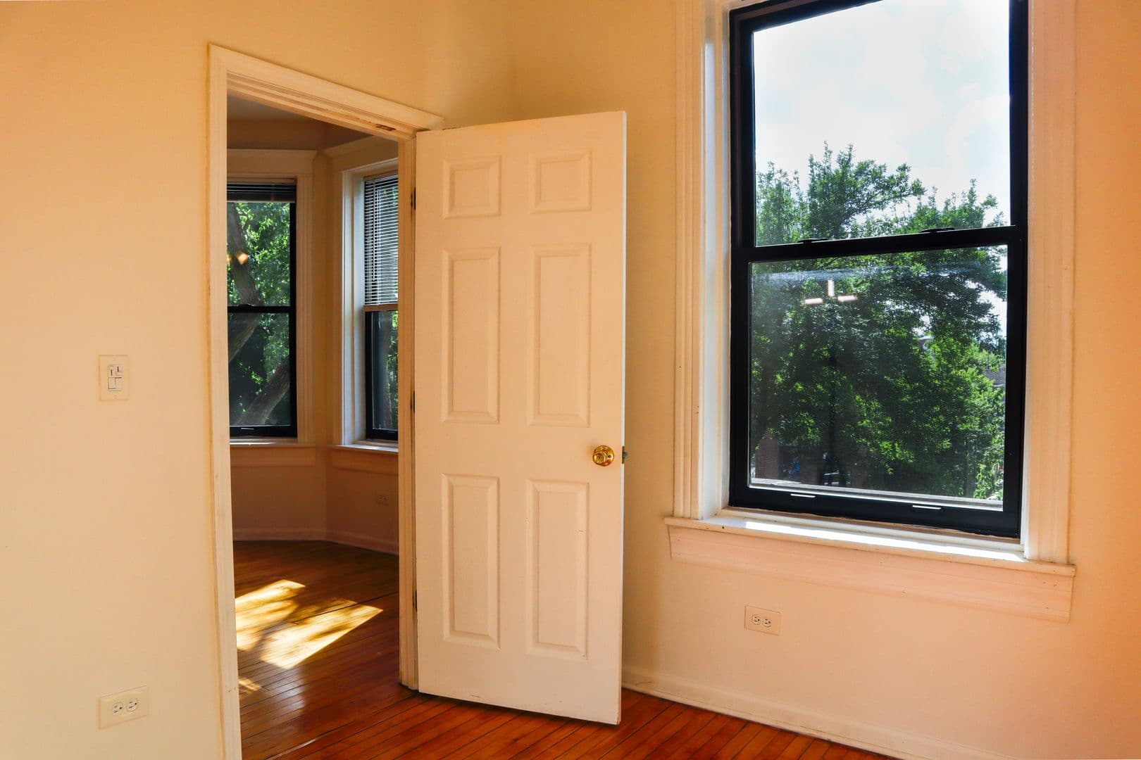 Chicago Apartment: 905 S Claremont